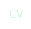  CV 